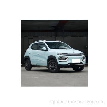 Dongfeng Nano Box EV Pro 2023 SUV Nuova batteria Energia Burcata anteriore Jelly Mini Auto elettrica industriale senza ventole